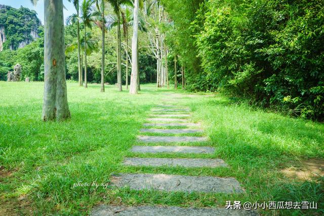 广西柳州最美的公园，与桂林一些景点相比毫不逊色，但游客不多