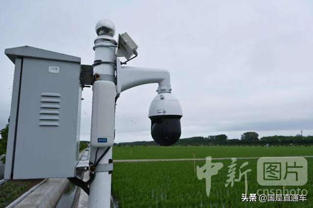 黑龙江不仅有大米