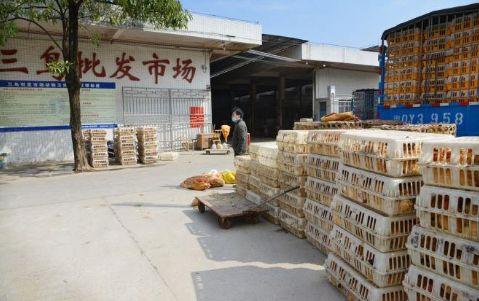 农村养殖家禽怎么找销路？这4个销售途径很管用