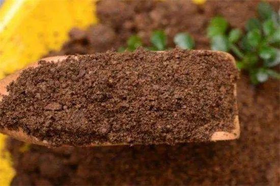 养花的氮肥从哪来？教你自制花卉氮肥方法