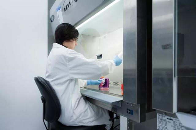 干货：生物安全柜的标准操作规程