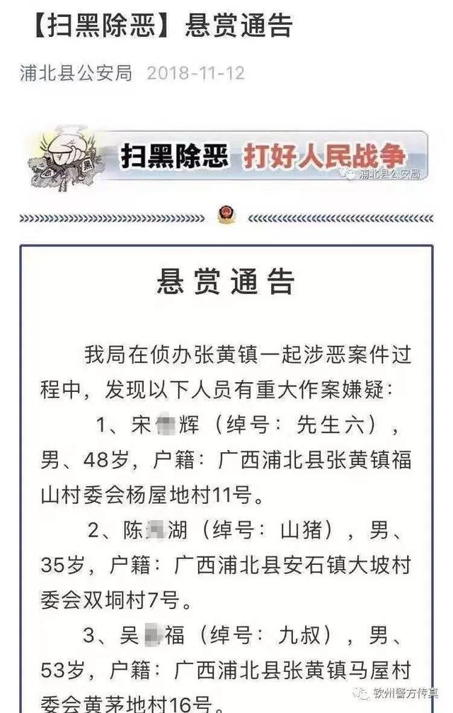 张黄镇总人口_广西钦州浦北张黄镇(3)