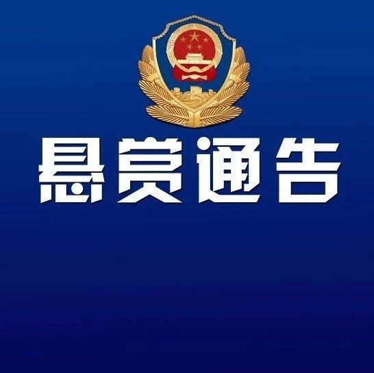 朝陽三間房未來規劃圖