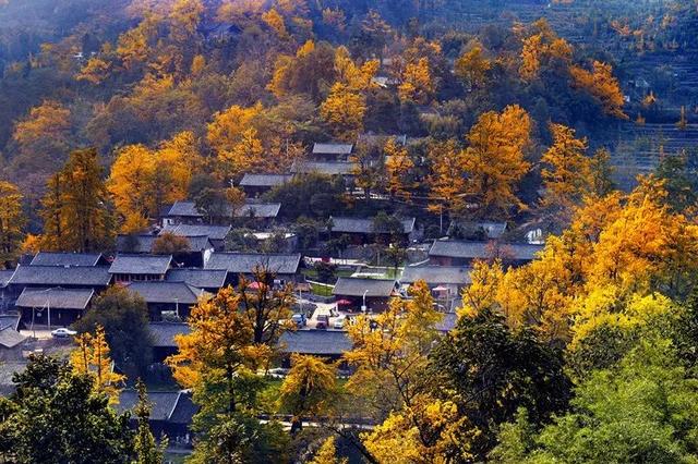 落叶知秋，满地黄，这个贵州小村庄被全国盯上了