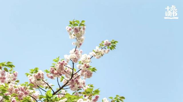 һѣ˺Լ˷Ƣ