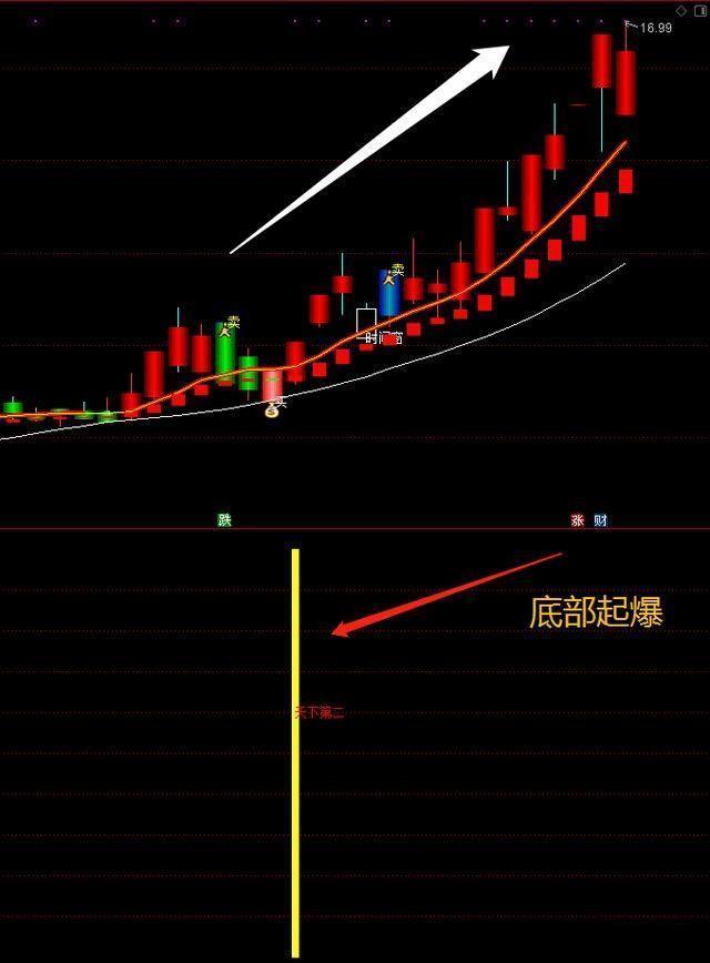 巴菲特点透A股市场：买股票就是买公司，最具爆发潜力的4只医药板块蓝筹股，谁会涨成“千倍股”