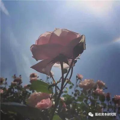 对赌条款的实践形态及注意事项