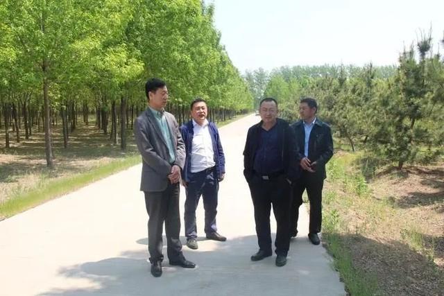 陈西武到北郊林场调研