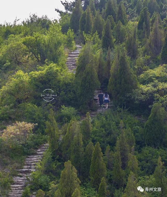 夏天来青州，可以干些啥？