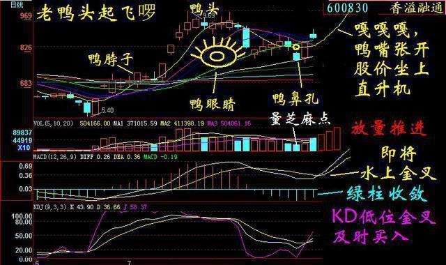 中国股市：如果你买的股票在尾盘半小时急跌，你知道是什么意思吗？看懂持股不慌
