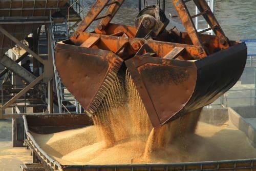 澳媒炒作中国要加征大麦进口关税，澳总理却这