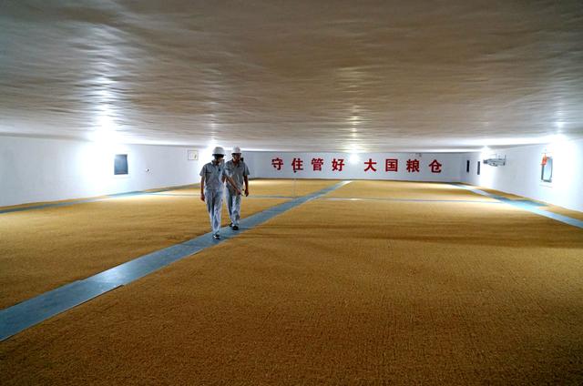 经济日报丨管好丰盈粮仓 端牢中国饭碗