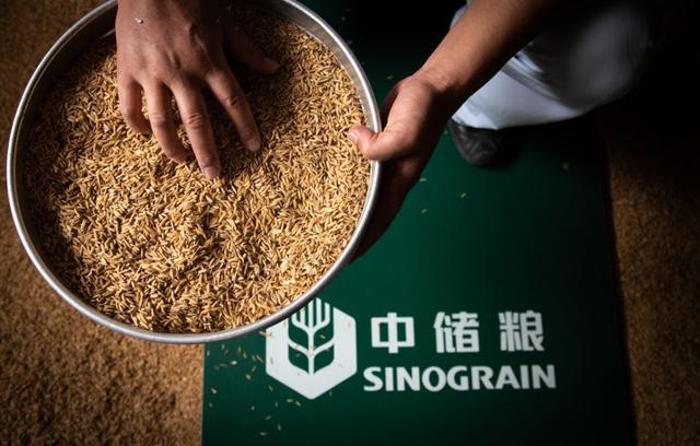 经济日报丨管好丰盈粮仓 端牢中国饭碗