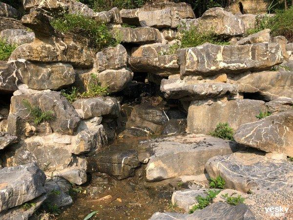 行摄：路边随处可见的美丽 是大自然赠予人类的美好