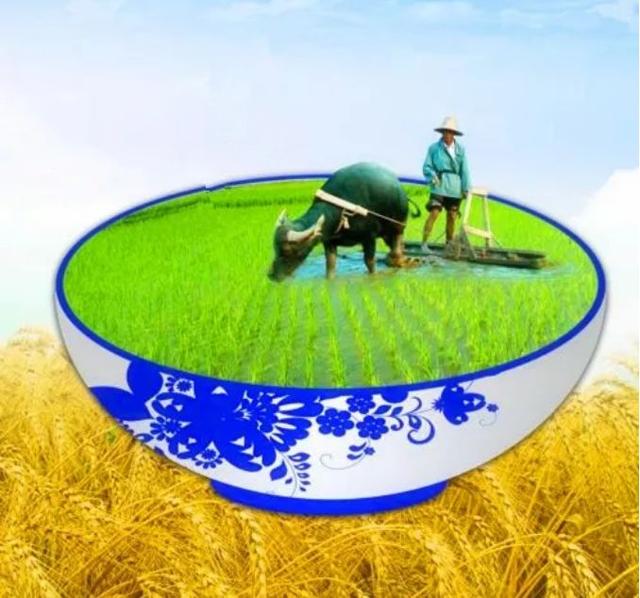 揭开中国农业的真面目，农业为何不赚钱？