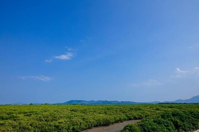 2万亿！广东这片海不得了