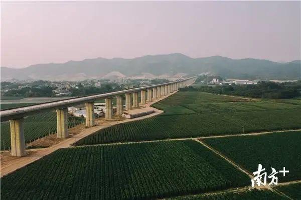 4万亿级！“大广州”“大深圳”来了