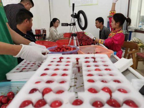 城市开始摆地摊，农民却开始直播卖货了