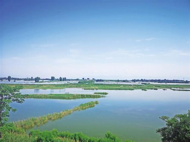 野草青青 鸟鸣啾啾——陕西省湿地保护见闻