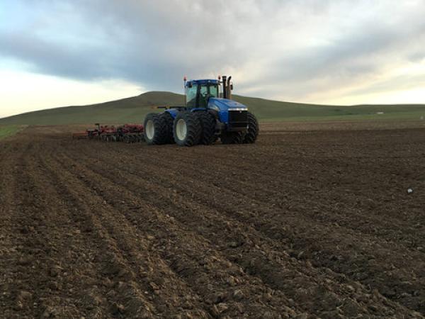 中国最大的天然燕麦种植基地“蒙北燕麦11万亩已
