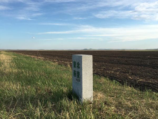 中国最大的天然燕麦种植基地“蒙北燕麦11万亩已