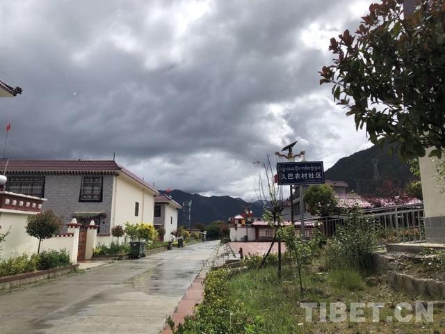 走进“藏地江南”：领略生态林芝，感受幸福生活