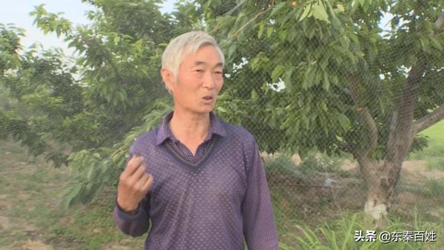 合陽南社社區(qū)：景區(qū)帶動 園區(qū)拉動 產(chǎn)業(yè)融合推進鄉(xiāng)村振興
