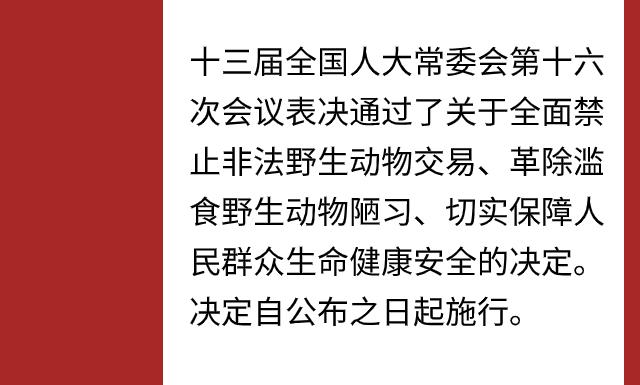 高考冲鸭！超有用的高分秘籍来了