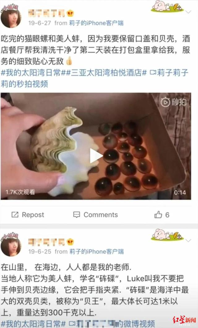 菲特彩票在线