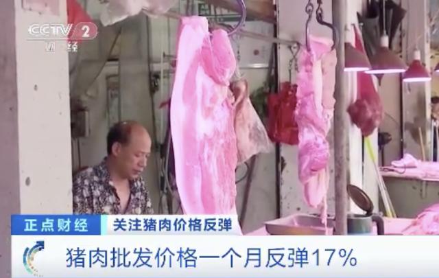 突然！猪肉价格反弹！一公斤涨近7元，接下来怎么走？