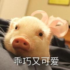 早报超有料丨《追龙》曝日版海报《我，喜欢你