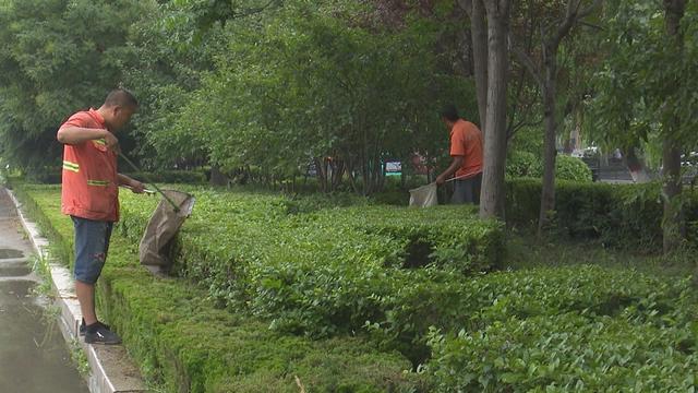 潍坊青州市：全面清理卫生死角 助力文明城市创建