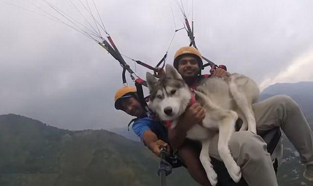 【沙发】土耳其男子坐沙发飞上天 艺高人胆大！