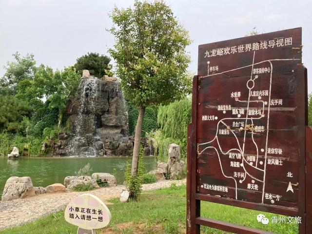 一直不知道，青州这里竟有上百种动物！