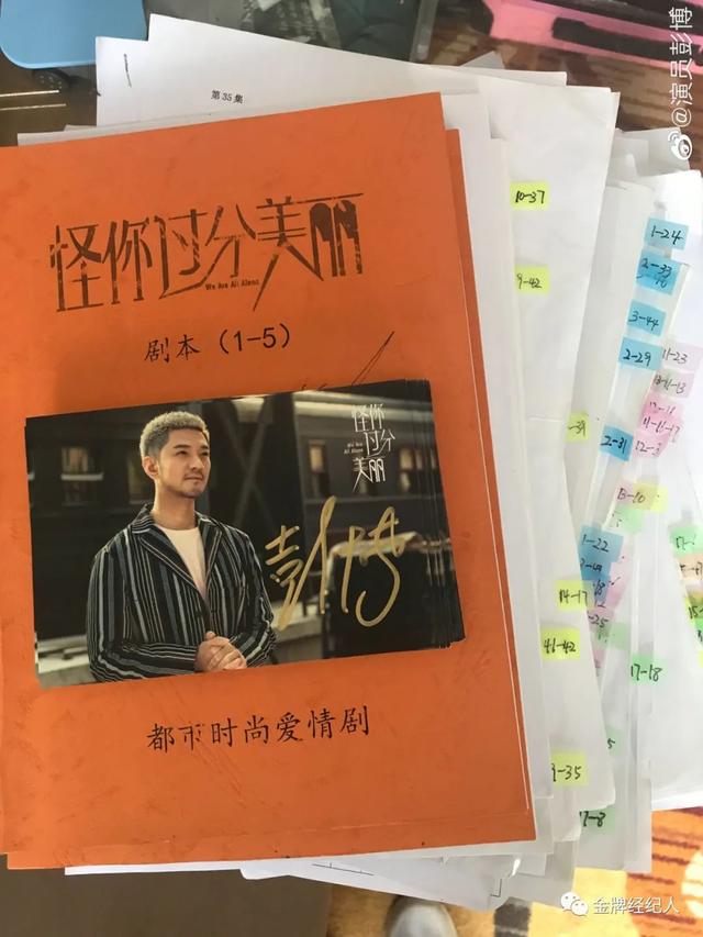 《怪你过分美丽》彭博｜「与世界交手，我只有