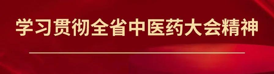 打造粤港澳大湾区中医药高地