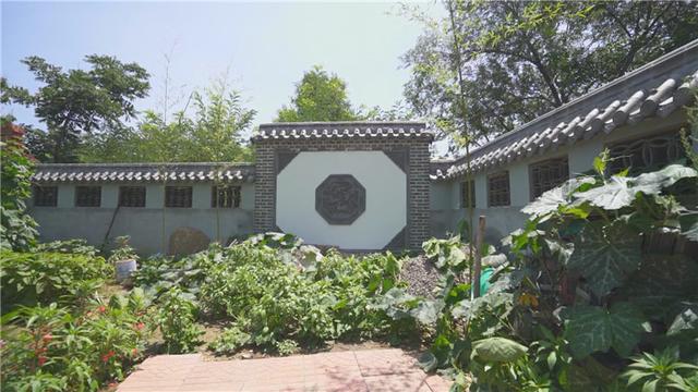 潍坊青州市：西坡幽深林密处 吾心归来是故乡