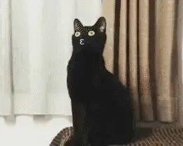 《全民综艺大舞台》顺德赛区即将掀起全民出道风潮