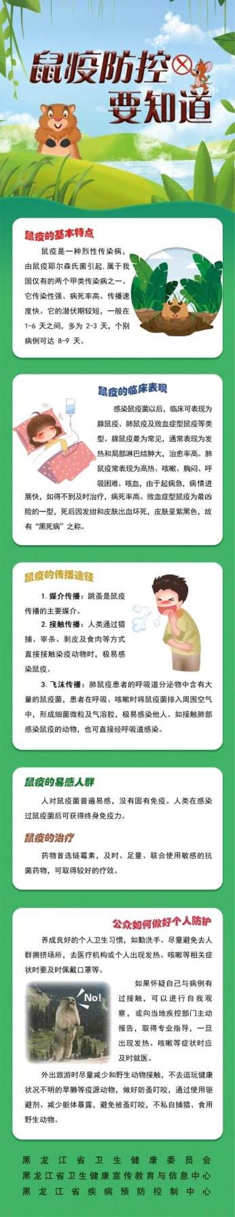 易感人群、传播途径……这些鼠疫防控要知道