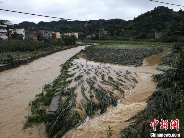 四川古蔺强降雨致4.3万人受灾 无人伤亡