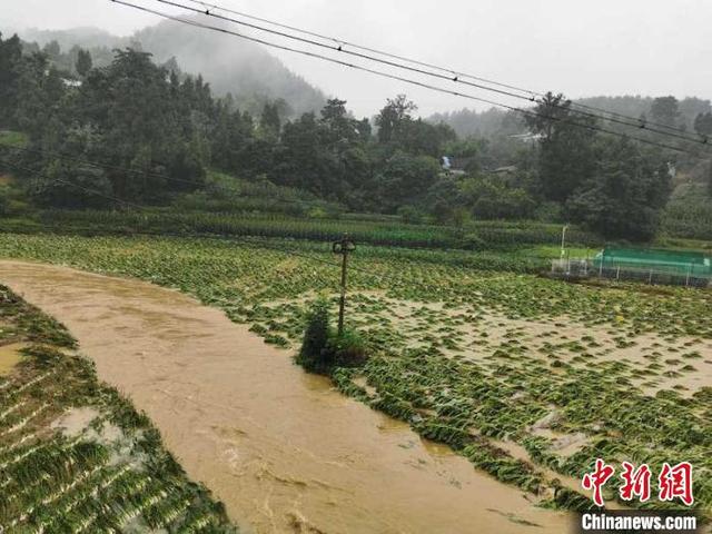 四川古蔺强降雨致4.3万人受灾 无人伤亡