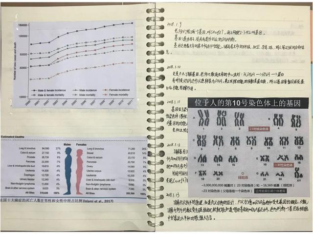 &quot;小学生凭基因研究获大奖&quot; 有多少博士父母的&quot;功劳&quot;