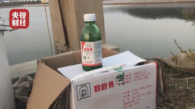 即墨海参养殖户违规使用敌敌畏 山东：全省排查