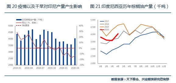 积极利多因素仍将强化，棕榈油目标价位上调