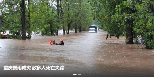 乘风破浪的菜油：涨停逼仓，底气何在？