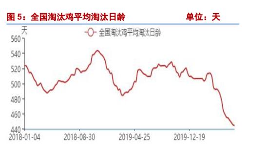 鸡蛋近月齐涨停！多头秋后算账了？