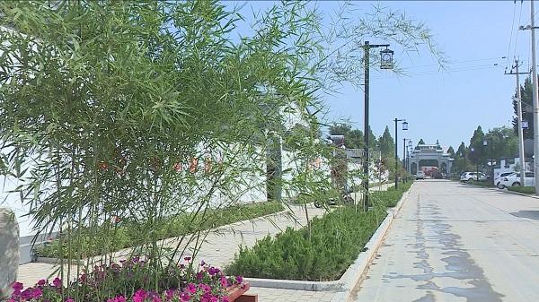 59秒丨潍坊青州市黄楼街道郝家村：人居环境再提升 美丽乡村入画来