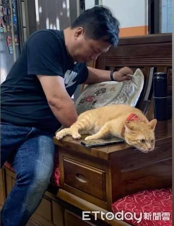 阿爸走后...猫孩静坐灵照旁陪伴！　头七狂喵急