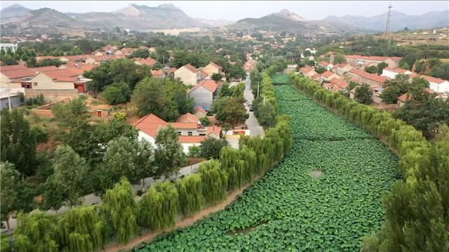 51秒丨潍坊青州市：盛夏乡村风景如画