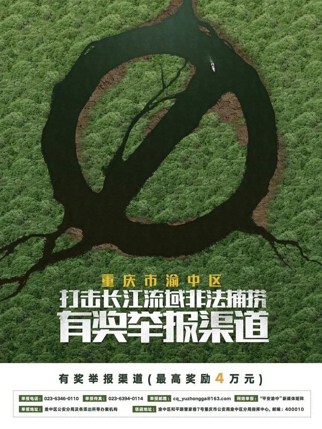 重庆|渝中警讯丨积极向警方提供非法捕捞线索 重庆一市民获举报奖金